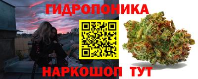 бошки Кимры