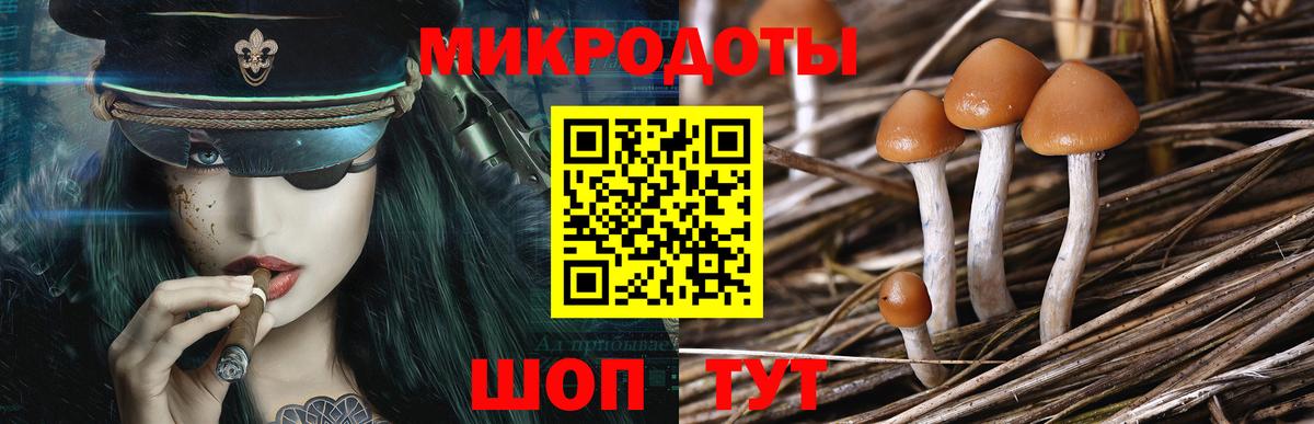 Ноябрьск  Псилоцибиновые грибы MAGIC MUSHROOMS  Псилоцибиновые грибы Cubensis  Вход с VPN 