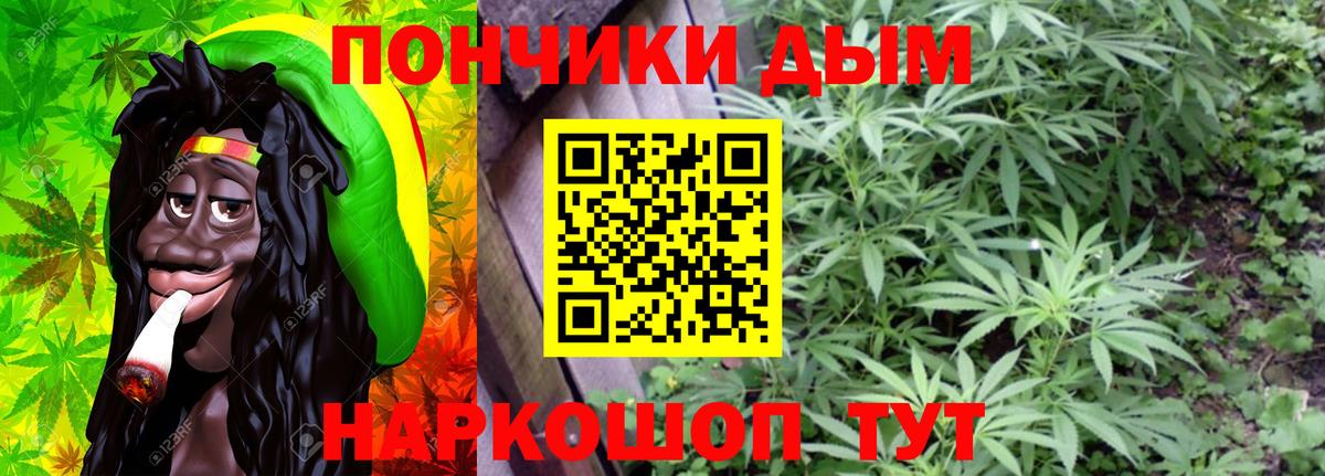 Шишки марихуана семена Ноябрьск